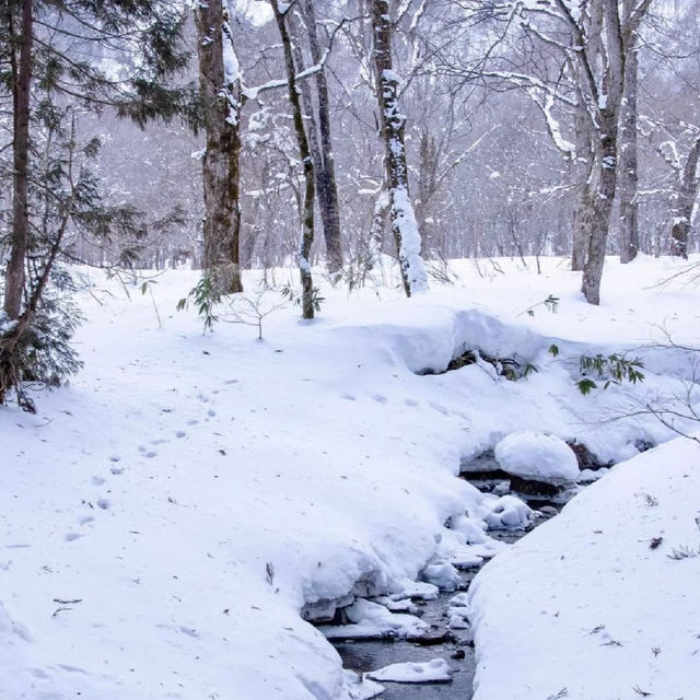 ～沼尻滑雪場～冬季天堂～