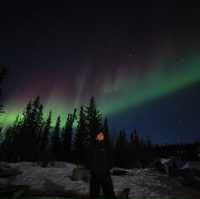 ซักหนึ่งครั้งที่ Yellowknife 