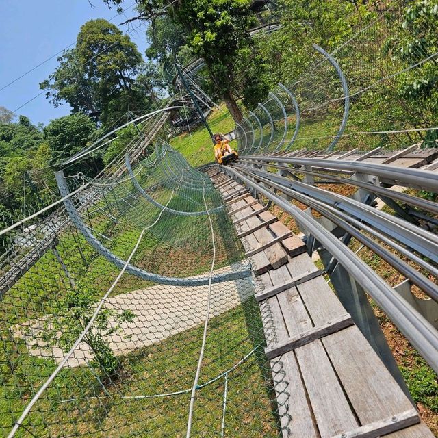 โป่งแยง ! แอดเวนเจอร์ พาร์ค เชียงใหม่