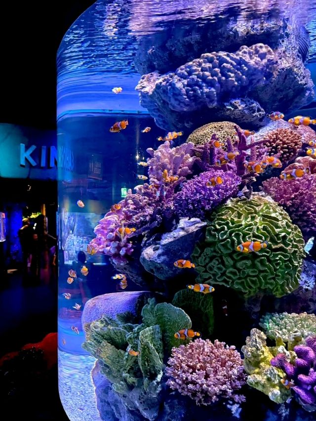 เที่ยว SEA LIFE Bangkok กัน!!