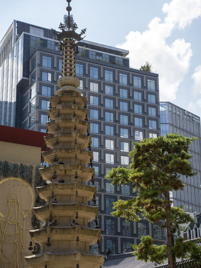 Extremely Instagramable Buddhist Temple in Downtown of Seoul 