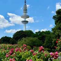 "Hanseatic Heritage: Hamburg Exploration"