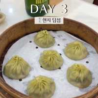 타이베이 여행 4박5일 일정정리