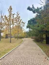 도심 속에서 여유와 힐링을 느끼고 싶을 때 청라호수공원🌳