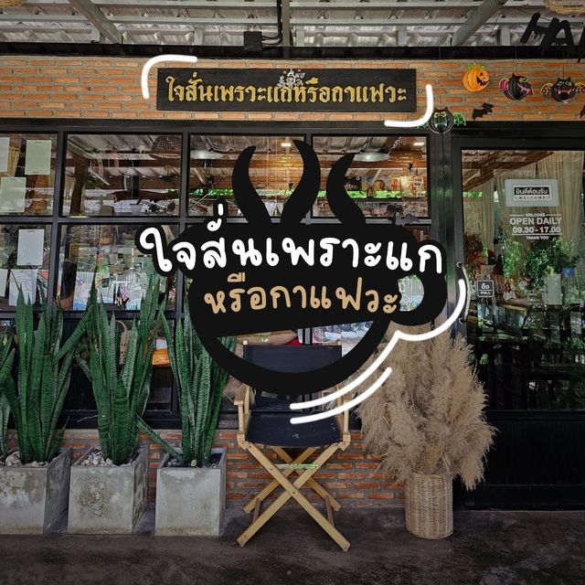 ใจสั่นเพราะแกหรือกาแฟวะ (คาเฟ่ลับกลางธรรมชาติ)