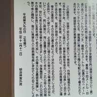 金色秋影🍂明治神宮外苑的銀杏之美✨