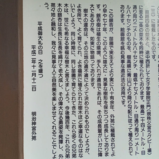 金色秋影🍂明治神宮外苑的銀杏之美✨