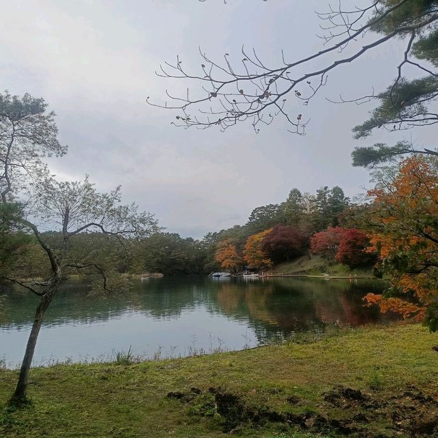 日本/東北/日本九寨溝~五色沼 賞楓的好地方~風景很美