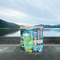 【佐伯】貝類、お刺身🐟が安い！新鮮！✨