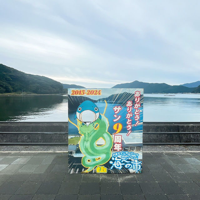 【佐伯】貝類、お刺身🐟が安い！新鮮！✨