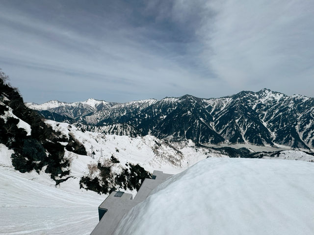 探訪立山黑部：壯麗的雪山觀光之旅 🏔️🌸