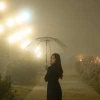ภูทับเบิกหนาวแล้วนะ