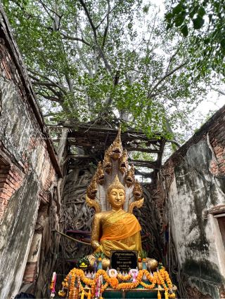 มหัศจรรย์โบสถ์ 400 ปี “วัดสังกระต่าย อ่างทอง”