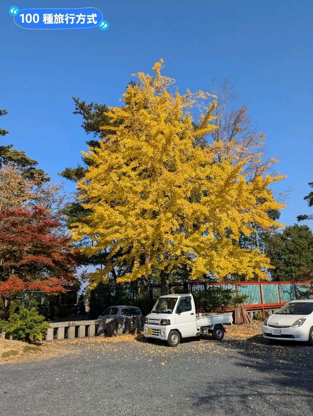 鳥瞰仙台市景的絕佳場所：仙台城跡(青葉城)