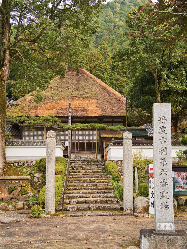 【ここ行って】本当は教えたくない🙅丹波地方最古の寺院で見る紅葉✨