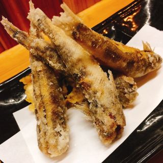 【노베 오카】어쨌든 밝은 향토 요리를 먹을 수 있는 이자카야 ✨