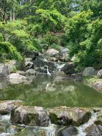 【大阪】花博記念公園鶴見緑地で季節を愛でる♡ 