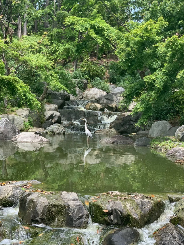 【大阪】花博記念公園鶴見緑地で季節を愛でる♡ 
