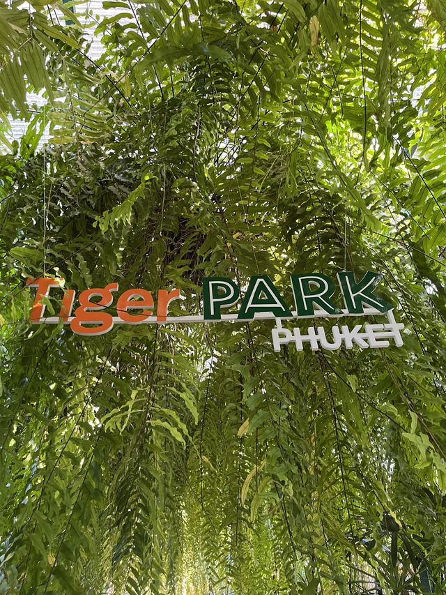 【タイ･プーケット🇹🇭】スリル満点💯トラと写真が撮れるスポット！🐯