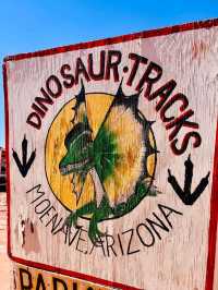 A Solo Adventure to the Dinosaur Tracks of the Grand Canyon