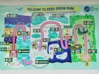 Cebu Ocean Park: An Underwater Wonderland