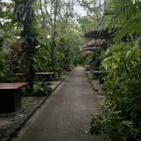 Unexpected finds in Pattaya!