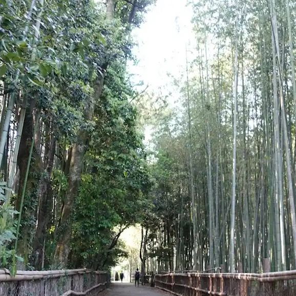 【京都】人気観光スポット！