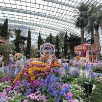 Explore the beauty of Flowers Dome of Singapore Garden by the bay