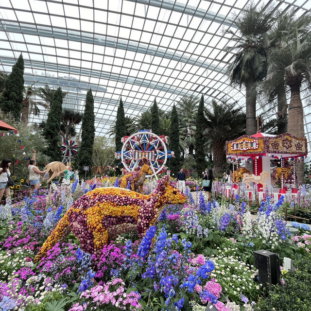 Explore the beauty of Flowers Dome of Singapore Garden by the bay