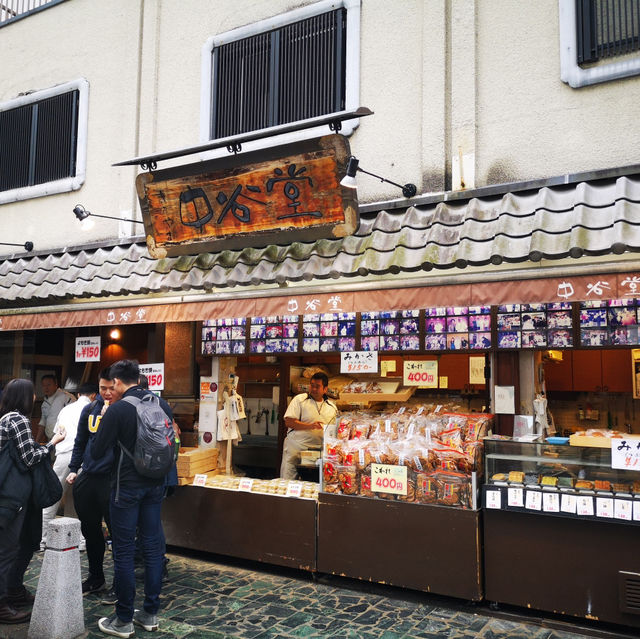 I Come To Nara To See Mochi Experts!