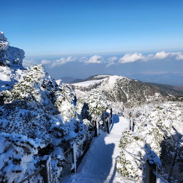제주 O일 여행 가이드
