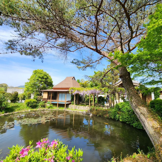 武藏寺，九州歷史最悠久的藤蔓和山茶花美麗的寺院