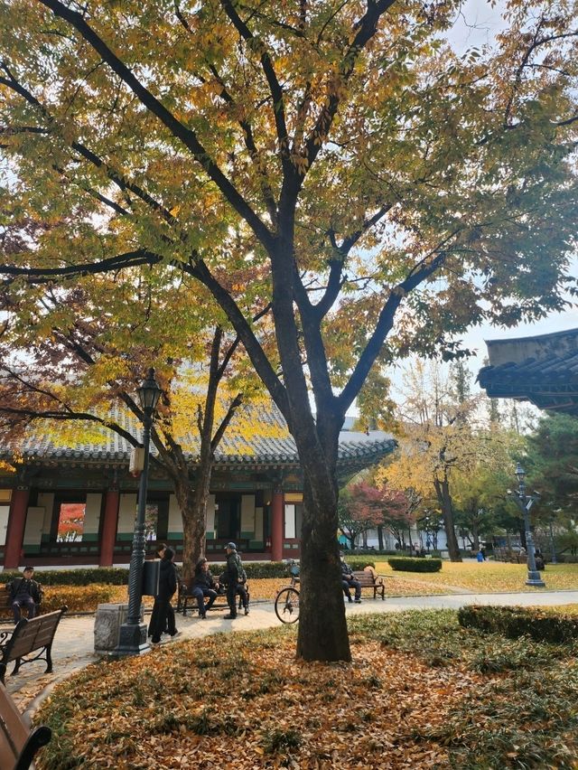 가을가을한 낭만적인 공원 경상감영공원🌿🧡