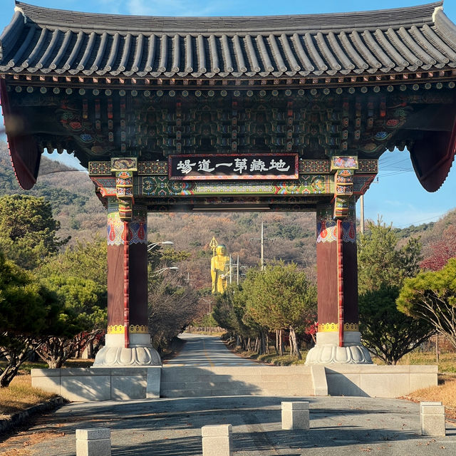 충북 음성 가을 여행 스팟 추천