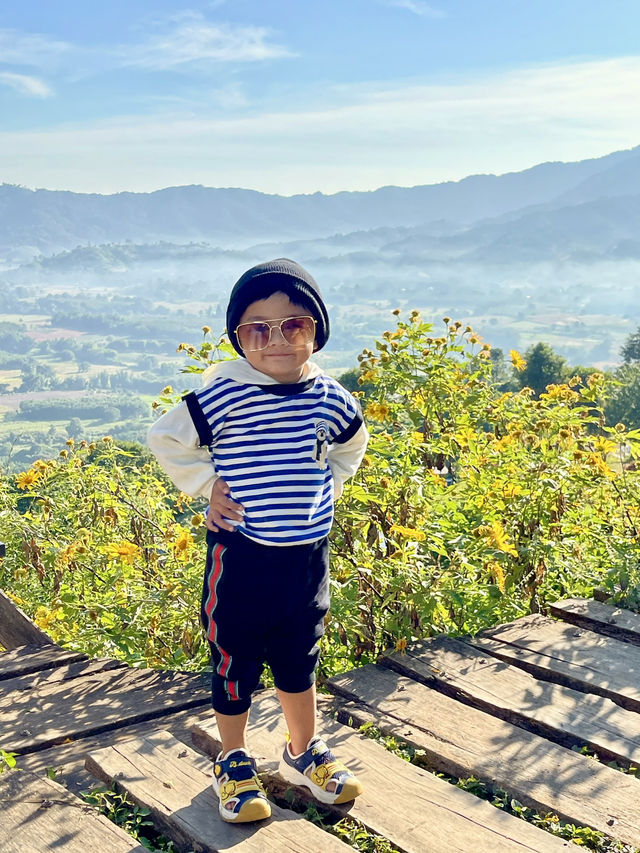 สัมผัสสายหมอก โอบกอดขุนเขา ที่ภูลังกา 🏞️✨