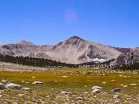 Golden Trout Wilderness: A Hidden Gem for Outdoor Adventure