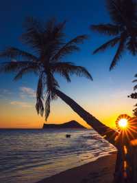 Why Hawaii is the Ultimate Sunset Spot 🌅