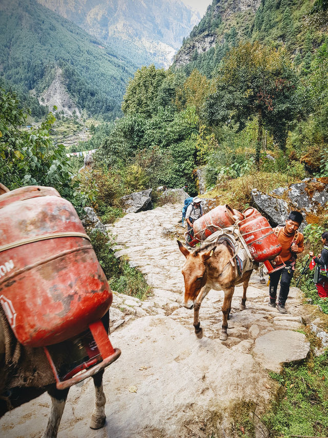 Explore Everest Base Camp