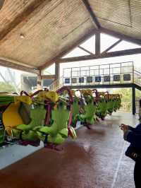 🎢🎡重慶歡樂谷｜一個讓人心情瞬間變得歡快起來的地方😆