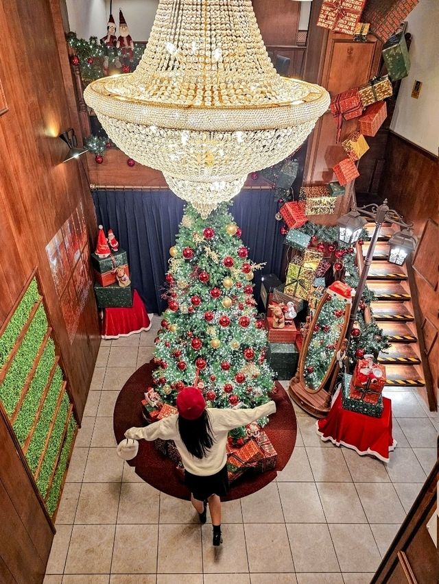 애인에게 사랑받는 크리스마스 데이트 장소 무궁화파이브✨️🎄
