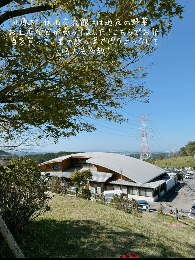 阿蘇の穴場スポット！ワンピースのナミにも会える？！俵山交流館　萌の里