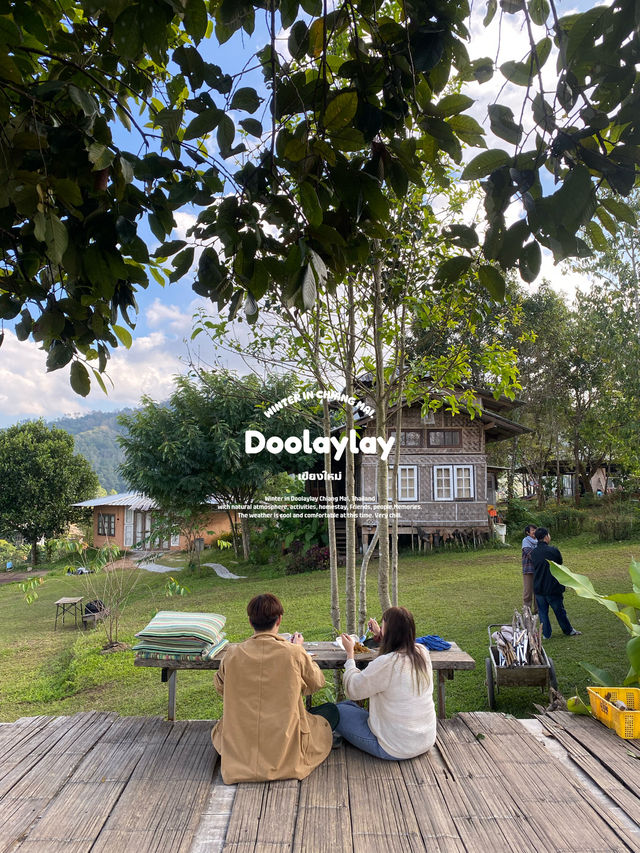 ฤดูหนาวที่ดูเลเล | จ.เชียงใหม่ 🏡⛰️🌿🔥