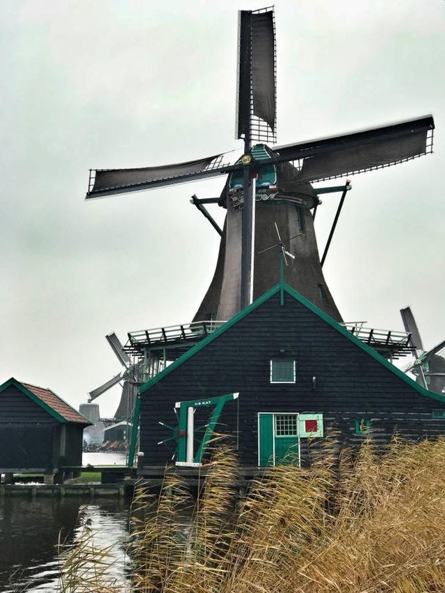 🇳🇱Windmills in Zaanse Schans🇳🇱