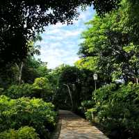 A Tropical Oasis in the Heart of the City