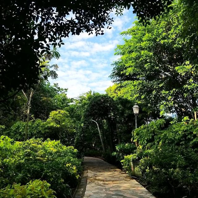 A Tropical Oasis in the Heart of the City