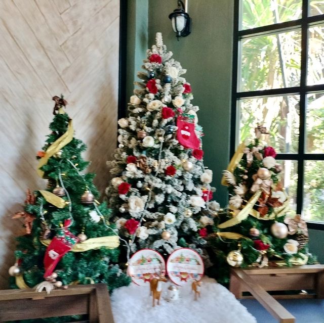 🎅คาเฟ่นั่งชิล Toplofty Cafe เขาใหญ่