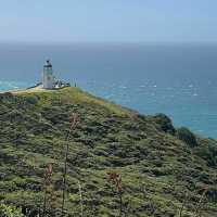 Dawn of 2025: Cape Reinga's Enchanting Beauty