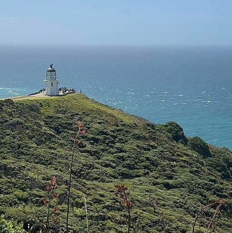 Dawn of 2025: Cape Reinga's Enchanting Beauty
