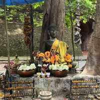 วัดอุโมงค์ (สวนพุทธธรรม) • เชียงใหม่