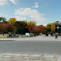 Osaka Castle Park Fountain